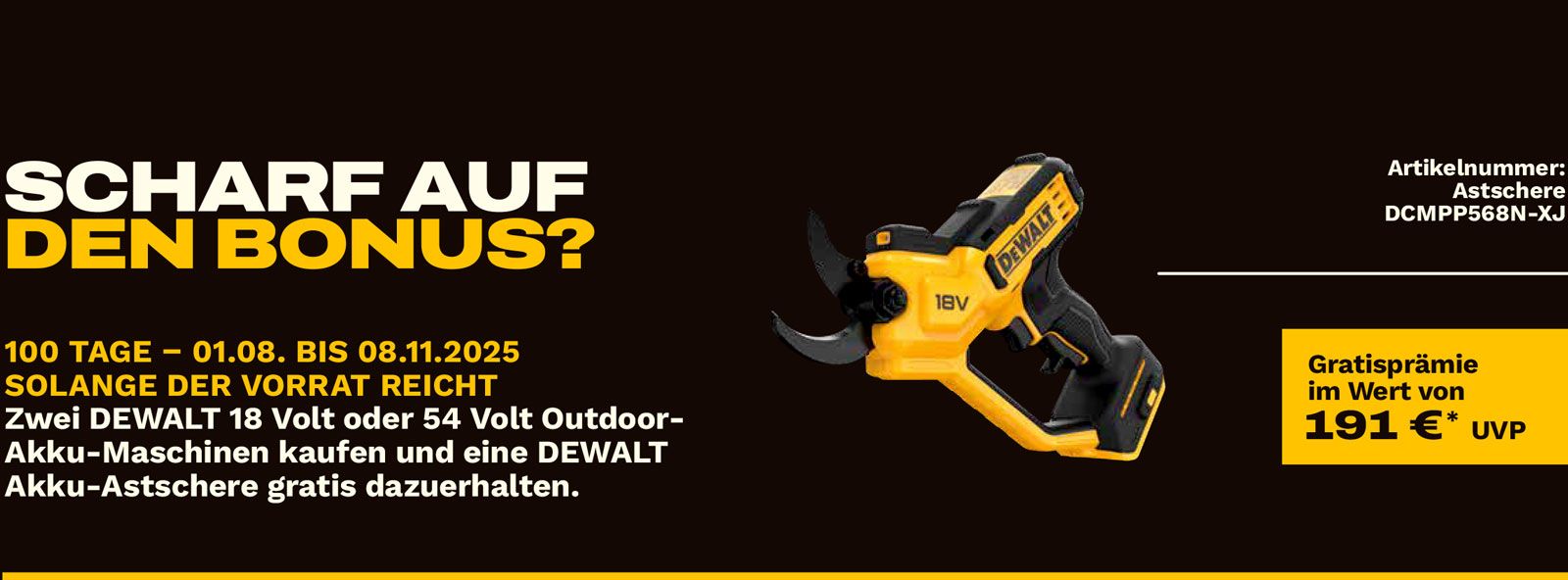 DEWALT Aktion bis Ende 2025 - 02